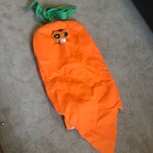 Adult Carrot Costume with Glasses